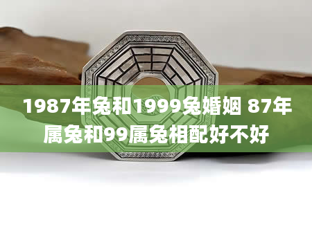 1987年兔和1999兔婚姻 87年属兔和99属兔相配好不好