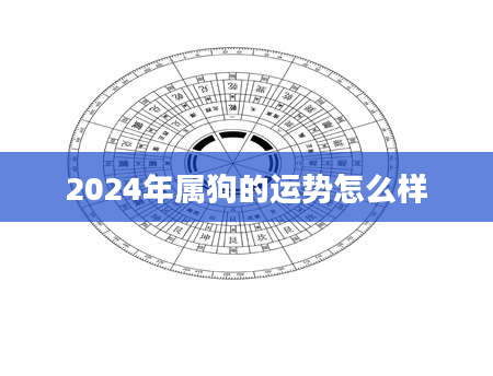 2024年属狗的运势怎么样