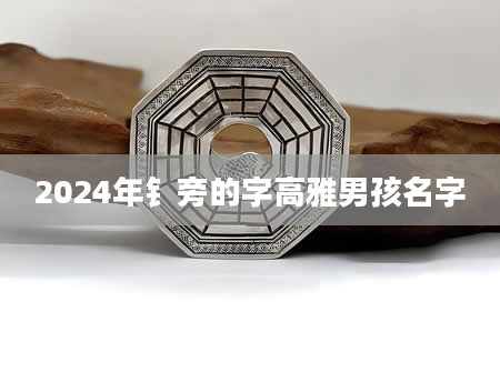 2024年钅旁的字高雅男孩名字