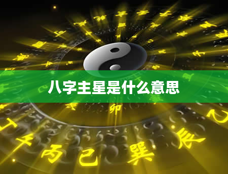 八字主星是什么意思