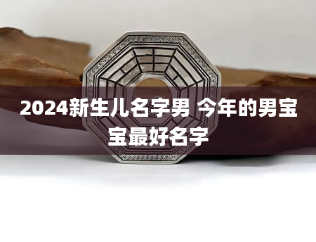 2024新生儿名字男 今年的男宝宝最好名字