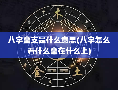八字坐支是什么意思(八字怎么看什么坐在什么上)