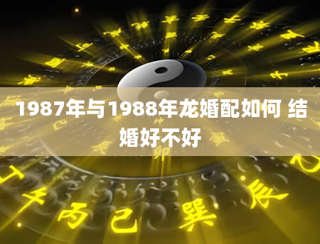 1987年与1988年龙婚配如何 结婚好不好