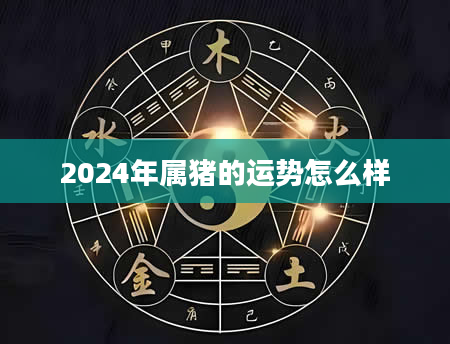 2024年属猪的运势怎么样