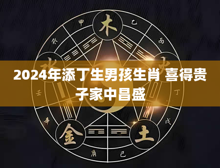 2024年添丁生男孩生肖 喜得贵子家中昌盛