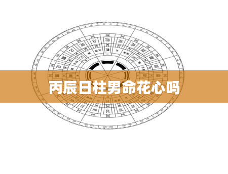 丙辰日柱男命花心吗