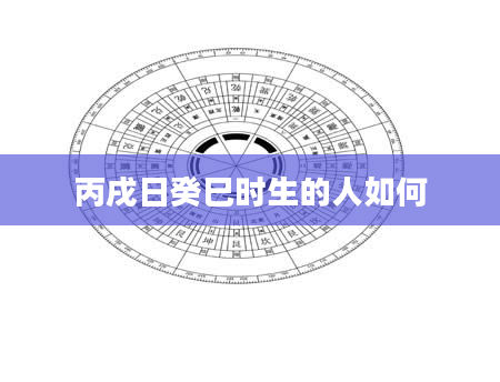 丙戌日癸巳时生的人如何