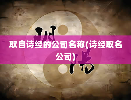 取自诗经的公司名称(诗经取名公司)