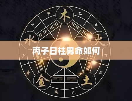 丙子日柱男命如何