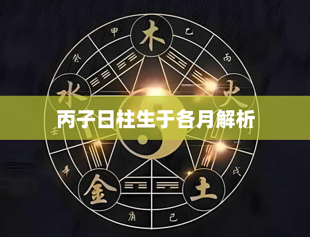 丙子日柱生于各月解析