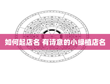 如何起店名 有诗意的小绿植店名