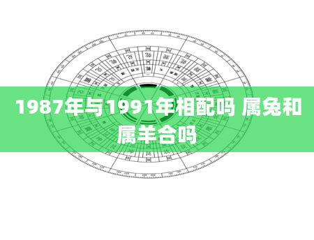 1987年与1991年相配吗 属兔和属羊合吗
