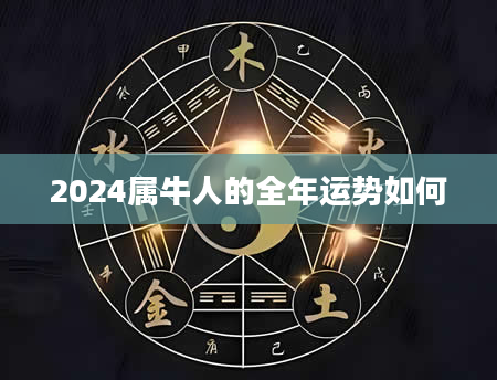 2024属牛人的全年运势如何
