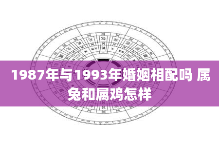 1987年与1993年婚姻相配吗 属兔和属鸡怎样