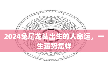 2024兔尾龙头出生的人命运，一生运势怎样