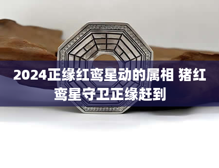 2024正缘红鸾星动的属相 猪红鸾星守卫正缘赶到