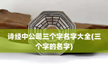 诗经中公司三个字名字大全(三个字的名字)