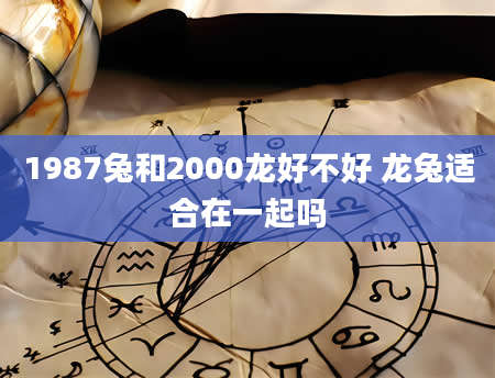 1987兔和2000龙好不好 龙兔适合在一起吗