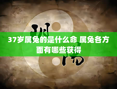37岁属兔的是什么命 属兔各方面有哪些获得