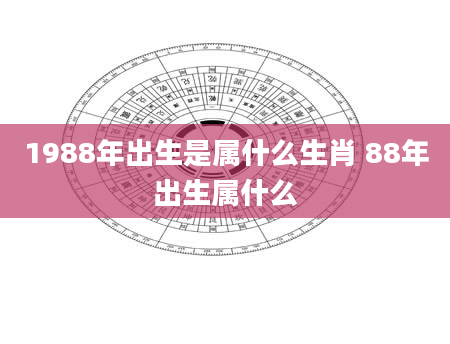 1988年出生是属什么生肖 88年出生属什么