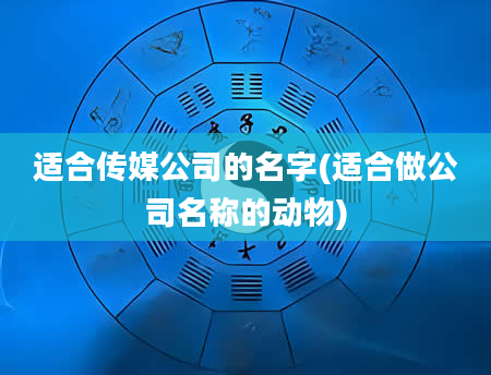 适合传媒公司的名字(适合做公司名称的动物)