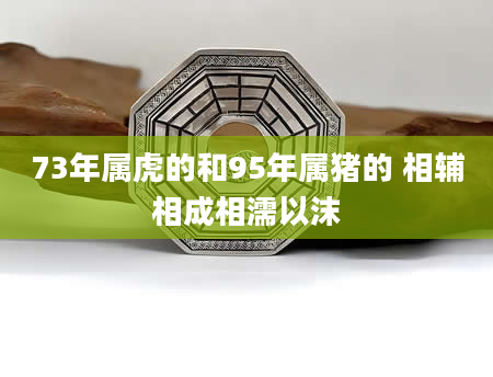 73年属虎的和95年属猪的 相辅相成相濡以沫