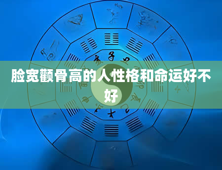 脸宽颧骨高的人性格和命运好不好