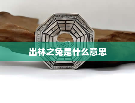 出林之兔是什么意思