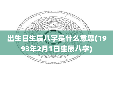 出生日生辰八字是什么意思(1993年2月1日生辰八字)