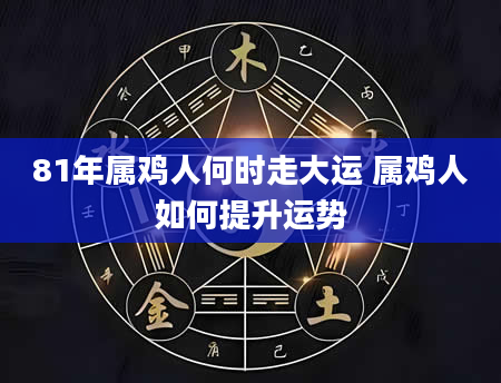81年属鸡人何时走大运 属鸡人如何提升运势