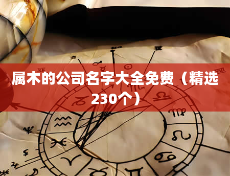 属木的公司名字大全免费（精选230个）