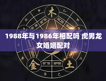 1988年与1986年相配吗 虎男龙女婚姻配对