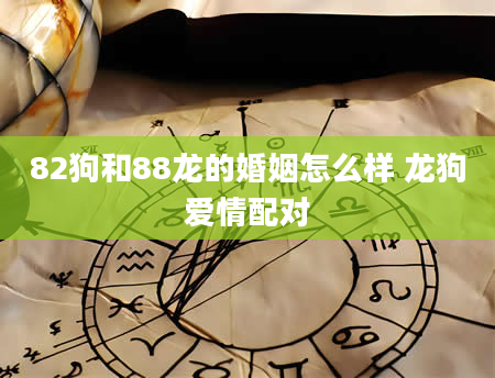 82狗和88龙的婚姻怎么样 龙狗爱情配对