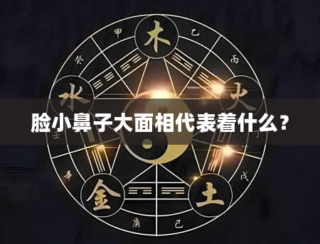 脸小鼻子大面相代表着什么？