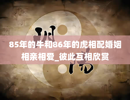 85年的牛和86年的虎相配婚姻相亲相爱_彼此互相欣赏