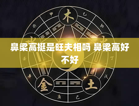 鼻梁高挺是旺夫相吗 鼻梁高好不好