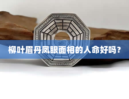 柳叶眉丹凤眼面相的人命好吗？
