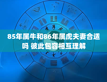 85年属牛和86年属虎夫妻合适吗 彼此包容相互理解