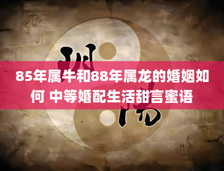 85年属牛和88年属龙的婚姻如何 中等婚配生活甜言蜜语