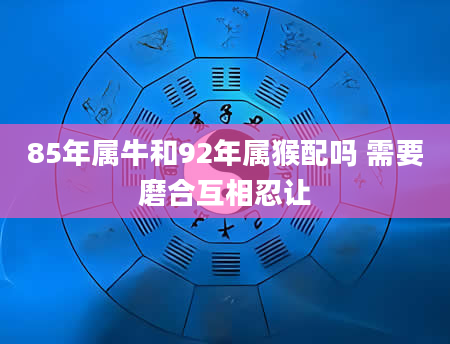 85年属牛和92年属猴配吗 需要磨合互相忍让