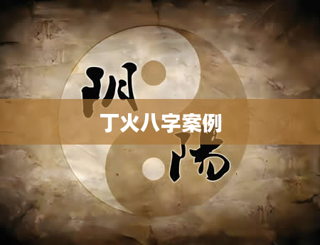 丁火八字案例