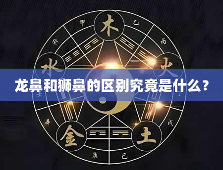龙鼻和狮鼻的区别究竟是什么？