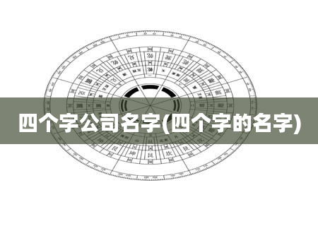 四个字公司名字(四个字的名字)
