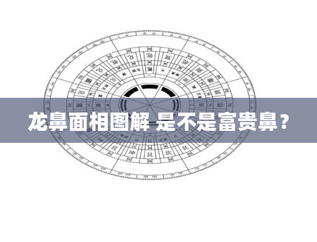 龙鼻面相图解 是不是富贵鼻？