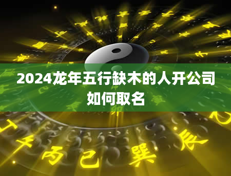 2024龙年五行缺木的人开公司如何取名