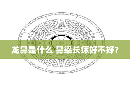 龙鼻是什么 鼻梁长痣好不好？