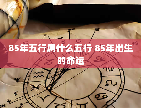 85年五行属什么五行 85年出生的命运