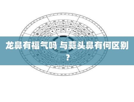 龙鼻有福气吗 与蒜头鼻有何区别？