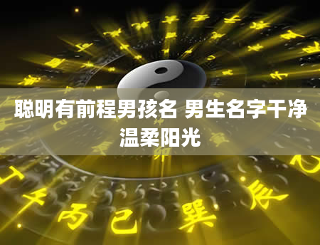 聪明有前程男孩名 男生名字干净温柔阳光