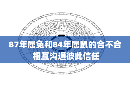 87年属兔和84年属鼠的合不合 相互沟通彼此信任
